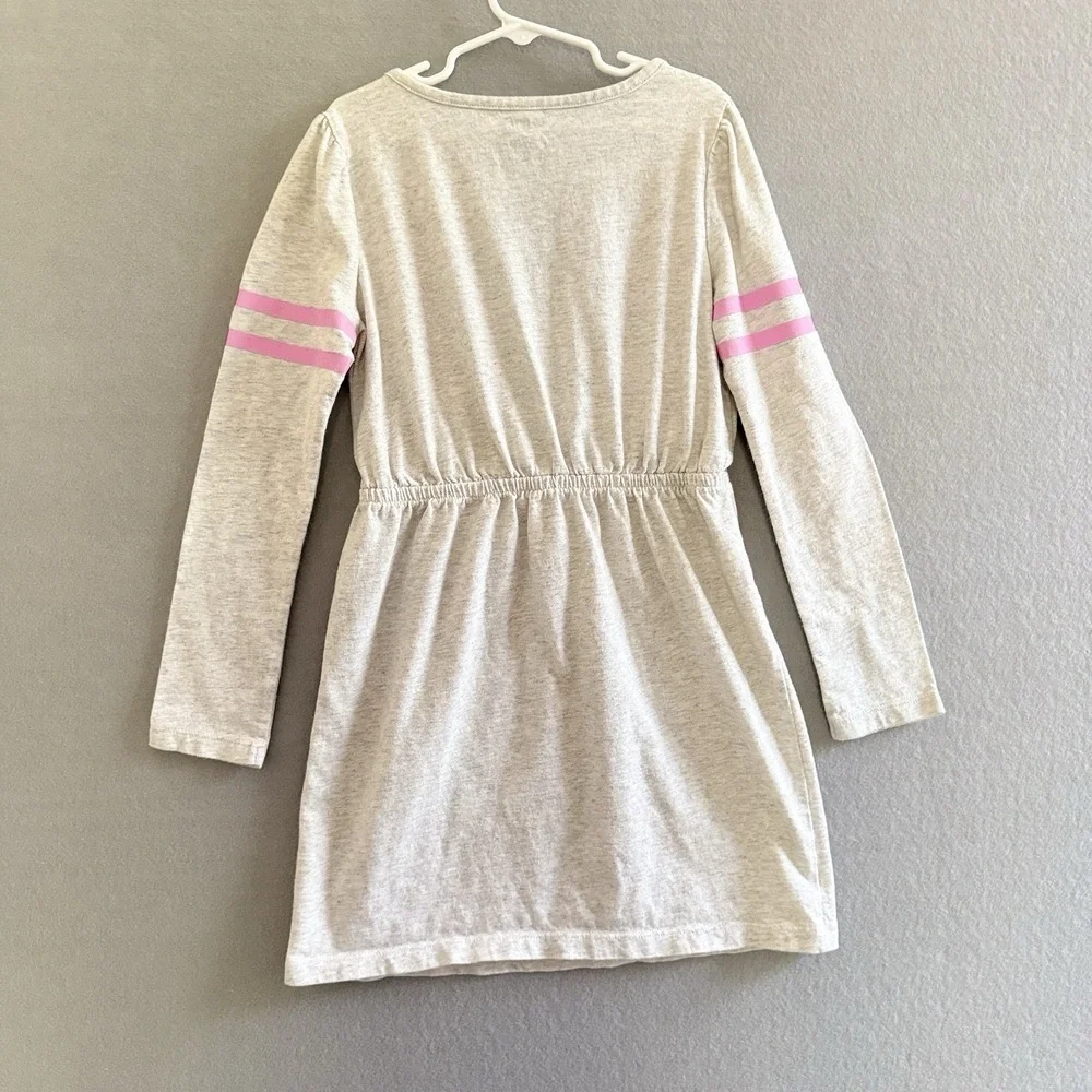 Gymboree Girls Tunic Dress Heather Grey, Pink Stripe Sleeve & Floral Pocket 10